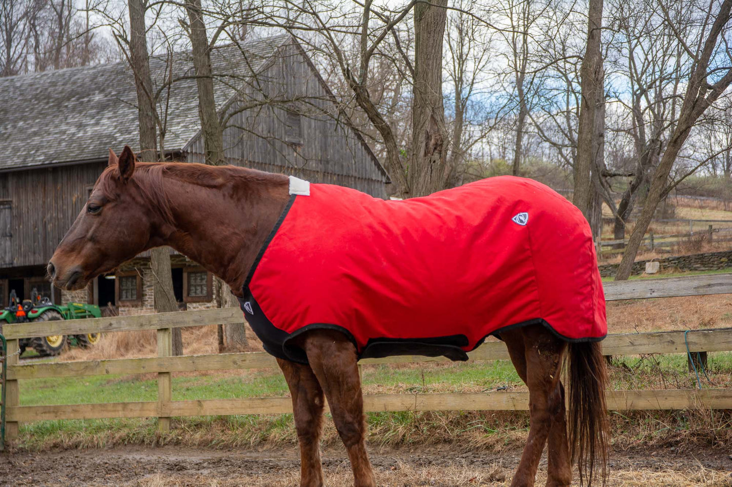 Horse wearing a red Equivest