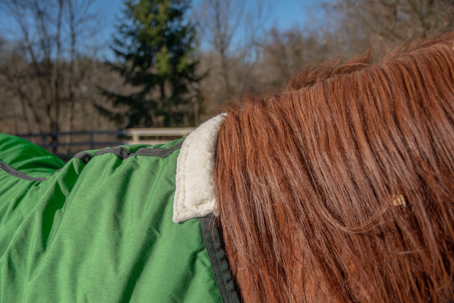 The wool lining on the neck potrion of an Equivest